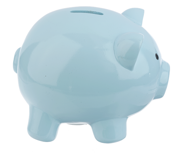 Piggy Money Bank