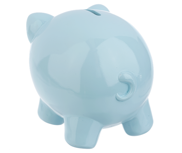 Piggy Money Bank