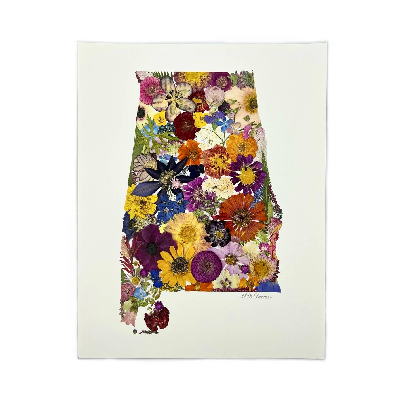 "Where I Bloom" State Giclée Print